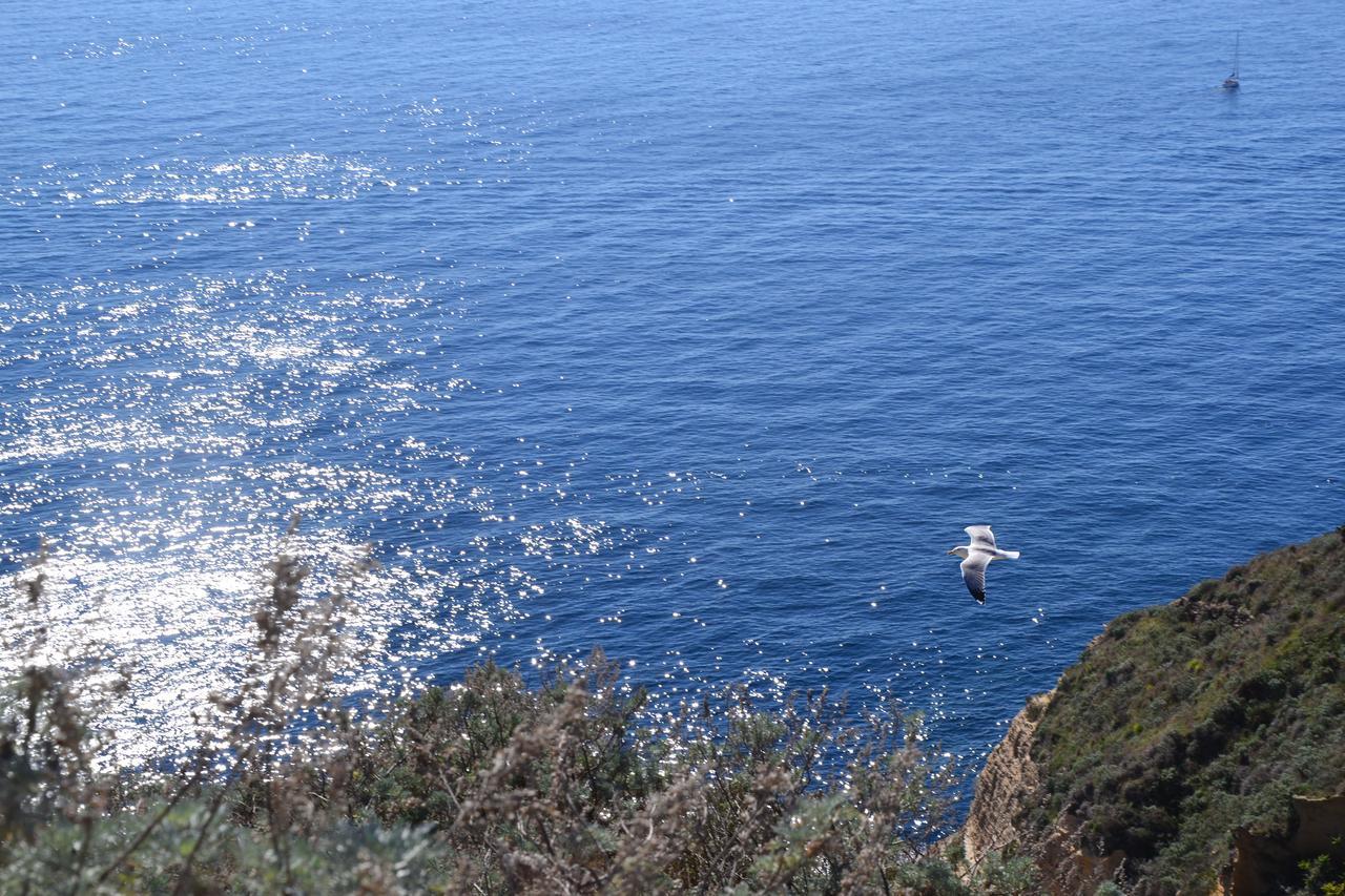 Terra Murata Boutique B&B Προτσίντα Εξωτερικό φωτογραφία
