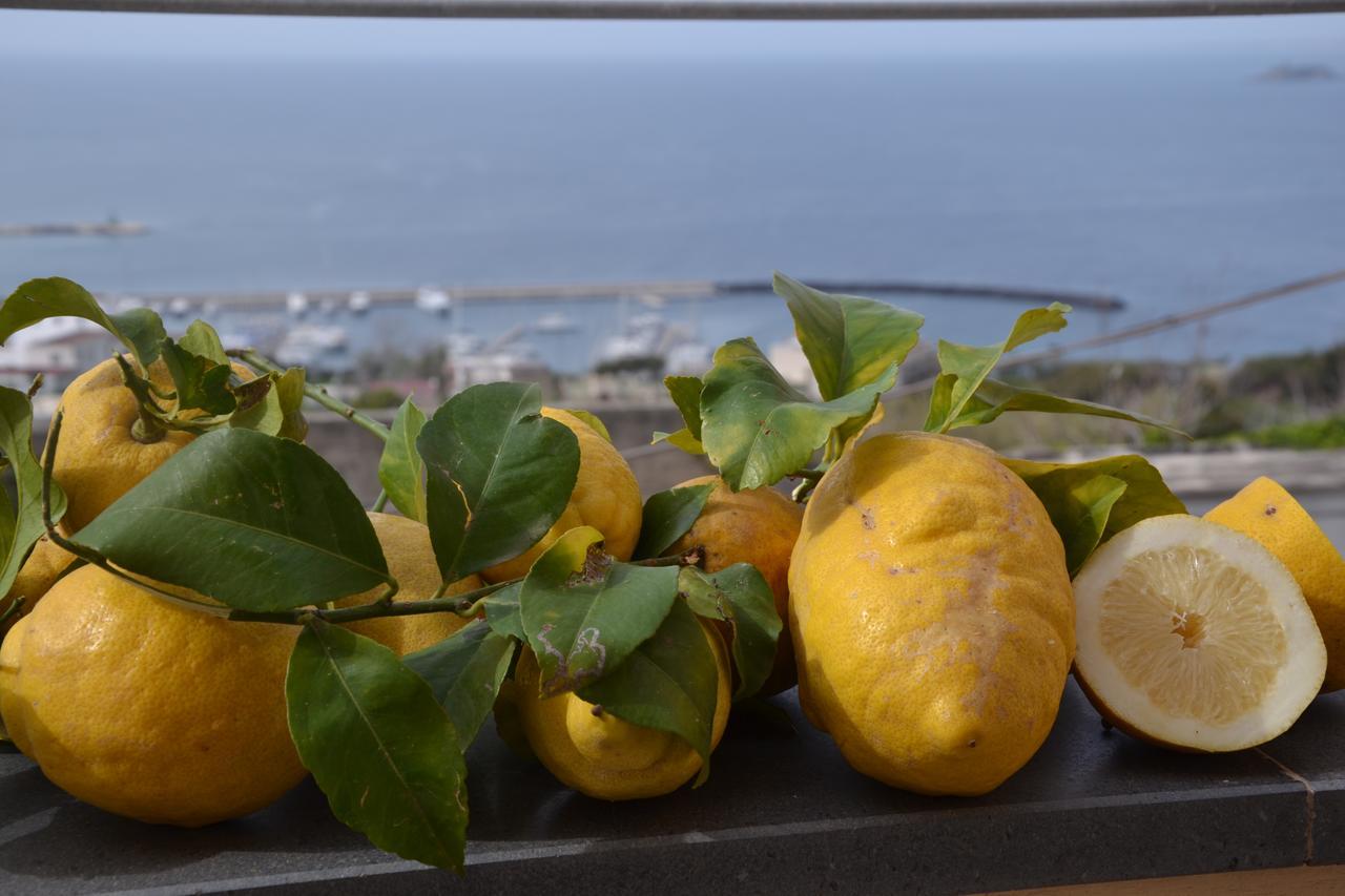 Terra Murata Boutique B&B Προτσίντα Εξωτερικό φωτογραφία